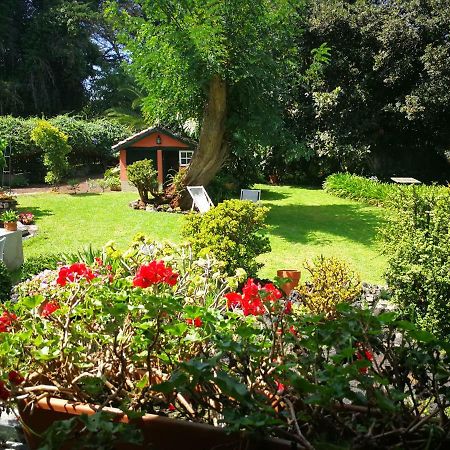 Jardines De Hortensia - Vacation Home Tenerife Σαν Κριστόμπαλ ντε Λα Λαγούνα Εξωτερικό φωτογραφία