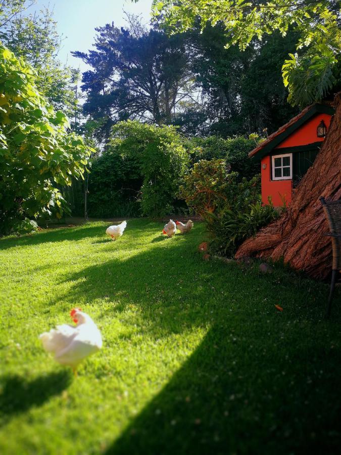 Jardines De Hortensia - Vacation Home Tenerife Σαν Κριστόμπαλ ντε Λα Λαγούνα Εξωτερικό φωτογραφία