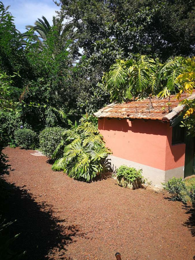 Jardines De Hortensia - Vacation Home Tenerife Σαν Κριστόμπαλ ντε Λα Λαγούνα Εξωτερικό φωτογραφία