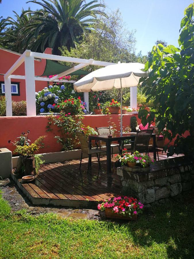 Jardines De Hortensia - Vacation Home Tenerife Σαν Κριστόμπαλ ντε Λα Λαγούνα Εξωτερικό φωτογραφία