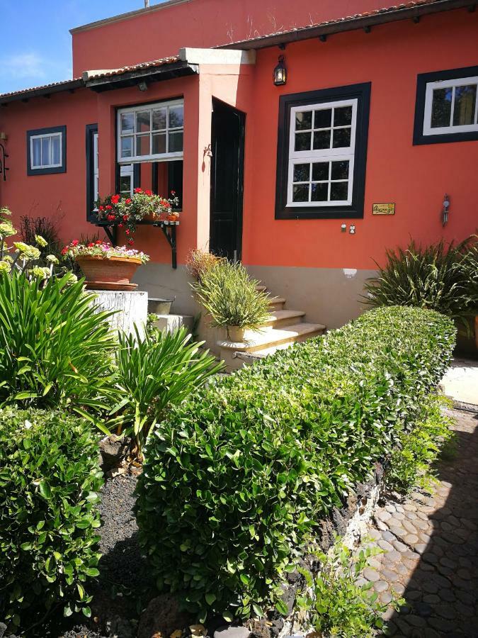 Jardines De Hortensia - Vacation Home Tenerife Σαν Κριστόμπαλ ντε Λα Λαγούνα Εξωτερικό φωτογραφία