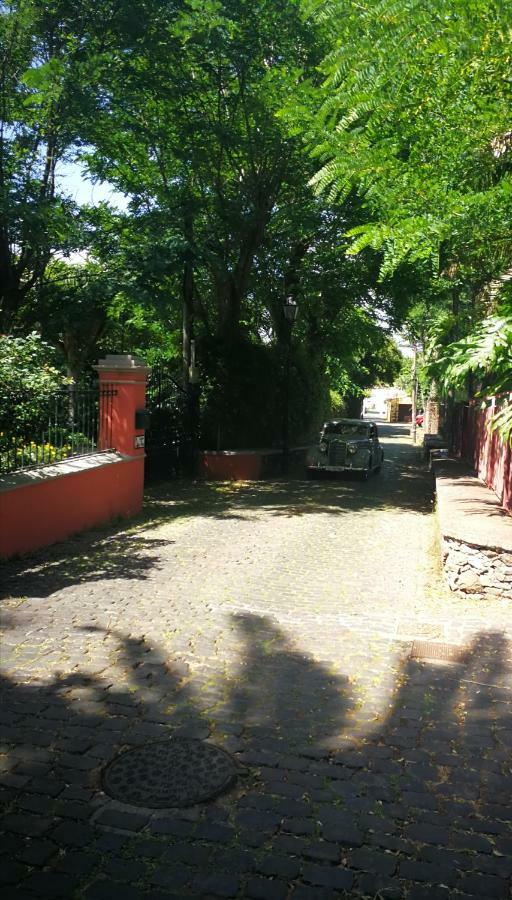Jardines De Hortensia - Vacation Home Tenerife Σαν Κριστόμπαλ ντε Λα Λαγούνα Εξωτερικό φωτογραφία